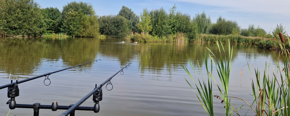 Top and budget carp rods for long distance casting